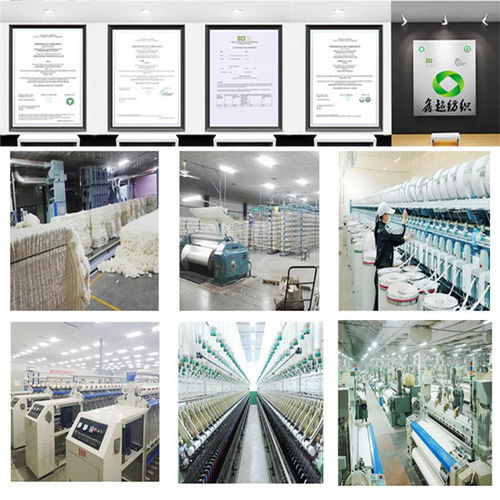 揭陽有機(jī)棉帆布廠家 鑫超紡織品以合理價(jià)格與專業(yè)技術(shù)引領(lǐng)市場(chǎng)